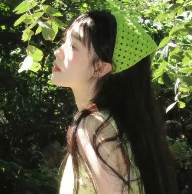 有猫的迷宫